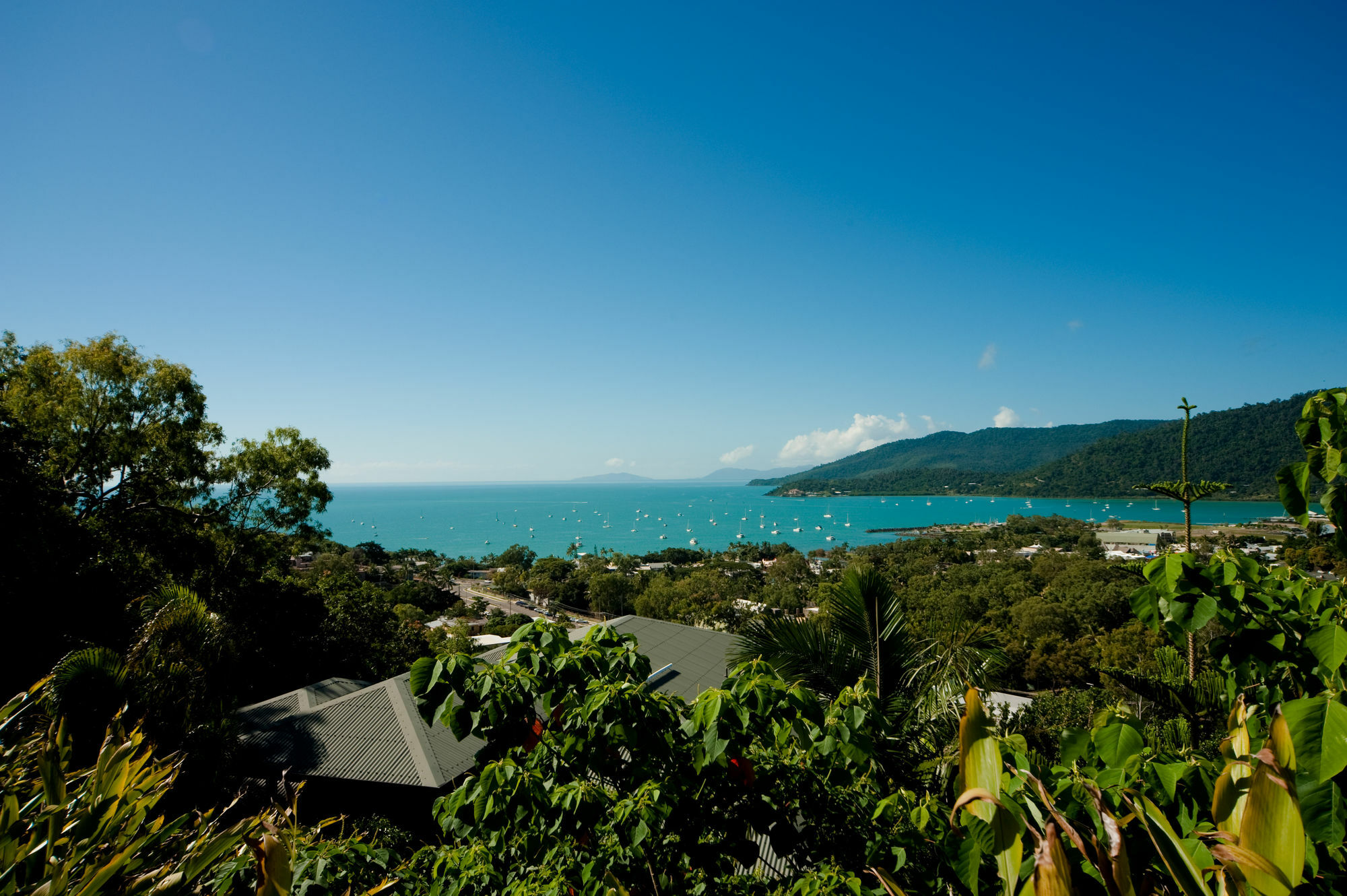 Sea Star Apartments Airlie Beach Exterior photo